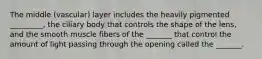 The middle (vascular) layer includes the heavily pigmented _________, the ciliary body that controls the shape of the lens, and the smooth muscle fibers of the _______ that control the amount of light passing through the opening called the _______.