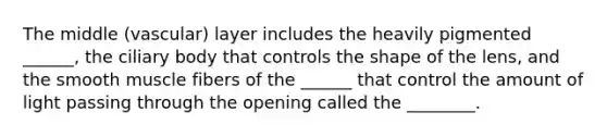 The middle (vascular) layer includes the heavily pigmented ______, the ciliary body that controls the shape of the lens, and the smooth muscle fibers of the ______ that control the amount of light passing through the opening called the ________.