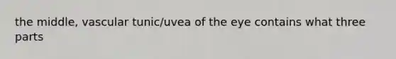 the middle, vascular tunic/uvea of the eye contains what three parts