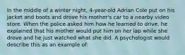 In the middle of a winter night, 4-year-old Adrian Cole put on his jacket and boots and drove his mother's car to a nearby video store. When the police asked him how he learned to drive, he explained that his mother would put him on her lap while she drove and he just watched what she did. A psychologist would describe this as an example of: