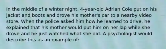 In the middle of a winter night, 4-year-old Adrian Cole put on his jacket and boots and drove his mother's car to a nearby video store. When the police asked him how he learned to drive, he explained that his mother would put him on her lap while she drove and he just watched what she did. A psychologist would describe this as an example of: