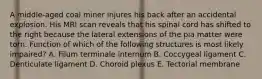 A middle-aged coal miner injures his back after an accidental explosion. His MRI scan reveals that his spinal cord has shifted to the right because the lateral extensions of the pia matter were torn. Function of which of the following structures is most likely impaired? A. Filum terminale internum B. Coccygeal ligament C. Denticulate ligament D. Choroid plexus E. Tectorial membrane