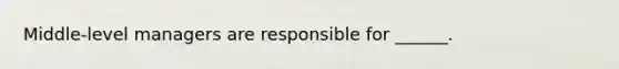 Middle-level managers are responsible for ______.