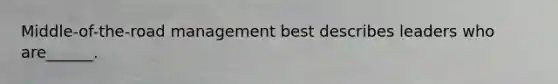 Middle-of-the-road management best describes leaders who are______.