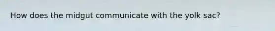 How does the midgut communicate with the yolk sac?