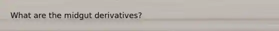 What are the midgut derivatives?