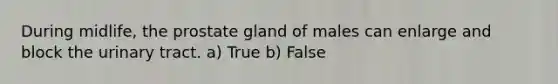 During midlife, the prostate gland of males can enlarge and block the urinary tract. a) True b) False