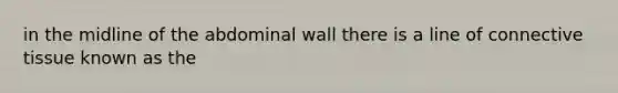 in the midline of the abdominal wall there is a line of connective tissue known as the