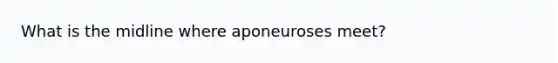 What is the midline where aponeuroses meet?