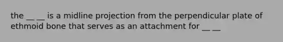 the __ __ is a midline projection from the perpendicular plate of ethmoid bone that serves as an attachment for __ __