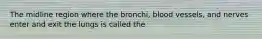 The midline region where the bronchi, blood vessels, and nerves enter and exit the lungs is called the