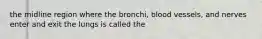 the midline region where the bronchi, blood vessels, and nerves enter and exit the lungs is called the