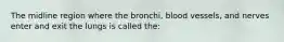 The midline region where the bronchi, blood vessels, and nerves enter and exit the lungs is called the: