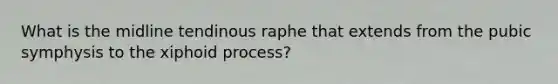 What is the midline tendinous raphe that extends from the pubic symphysis to the xiphoid process?