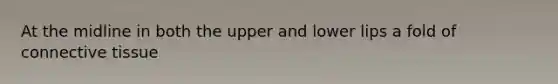 At the midline in both the upper and lower lips a fold of connective tissue