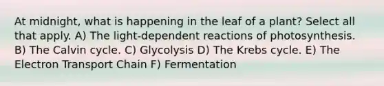 At midnight, what is happening in the leaf of a plant? Select all that apply. A) The light-dependent reactions of photosynthesis. B) The Calvin cycle. C) Glycolysis D) The Krebs cycle. E) The Electron Transport Chain F) Fermentation