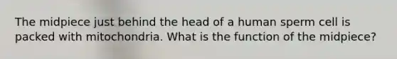 The midpiece just behind the head of a human sperm cell is packed with mitochondria. What is the function of the midpiece?