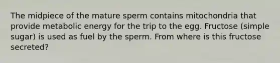 The midpiece of the mature sperm contains mitochondria that provide metabolic energy for the trip to the egg. Fructose (simple sugar) is used as fuel by the sperm. From where is this fructose secreted?