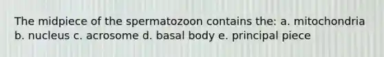 The midpiece of the spermatozoon contains the: a. mitochondria b. nucleus c. acrosome d. basal body e. principal piece