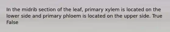 In the midrib section of the leaf, primary xylem is located on the lower side and primary phloem is located on the upper side. True False