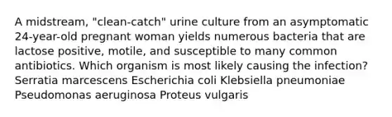 A midstream, "clean-catch" urine culture from an asymptomatic 24-year-old pregnant woman yields numerous bacteria that are lactose positive, motile, and susceptible to many common antibiotics. Which organism is most likely causing the infection? Serratia marcescens Escherichia coli Klebsiella pneumoniae Pseudomonas aeruginosa Proteus vulgaris