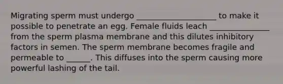 Migrating sperm must undergo ____________________ to make it possible to penetrate an egg. Female fluids leach _______________ from the sperm plasma membrane and this dilutes inhibitory factors in semen. The sperm membrane becomes fragile and permeable to ______. This diffuses into the sperm causing more powerful lashing of the tail.