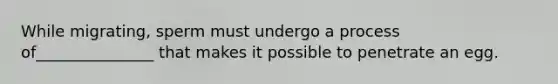 While migrating, sperm must undergo a process of_______________ that makes it possible to penetrate an egg.