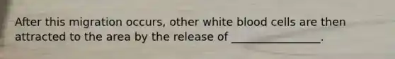 After this migration occurs, other white blood cells are then attracted to the area by the release of ________________.