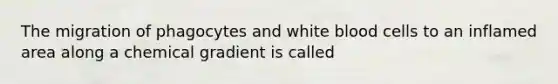 The migration of phagocytes and white blood cells to an inflamed area along a chemical gradient is called