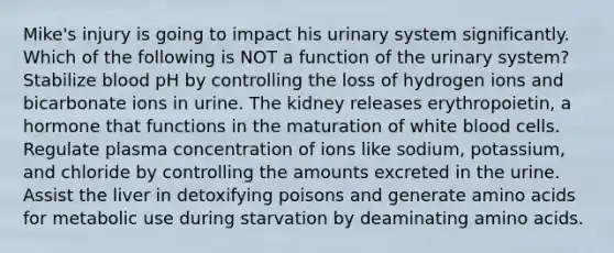 Mike's injury is going to impact his urinary system significantly. Which of the following is NOT a function of the urinary system? Stabilize blood pH by controlling the loss of hydrogen ions and bicarbonate ions in urine. The kidney releases erythropoietin, a hormone that functions in the maturation of white blood cells. Regulate plasma concentration of ions like sodium, potassium, and chloride by controlling the amounts excreted in the urine. Assist the liver in detoxifying poisons and generate amino acids for metabolic use during starvation by deaminating amino acids.