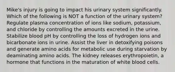 Mike's injury is going to impact his urinary system significantly. Which of the following is NOT a function of the urinary system? Regulate plasma concentration of ions like sodium, potassium, and chloride by controlling the amounts excreted in the urine. Stabilize blood pH by controlling the loss of hydrogen ions and bicarbonate ions in urine. Assist the liver in detoxifying poisons and generate amino acids for metabolic use during starvation by deaminating amino acids. The kidney releases erythropoietin, a hormone that functions in the maturation of white blood cells.