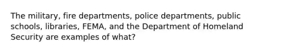 The military, fire departments, police departments, public schools, libraries, FEMA, and the Department of Homeland Security are examples of what?