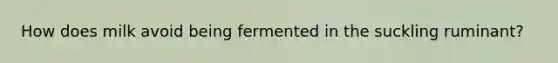 How does milk avoid being fermented in the suckling ruminant?