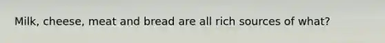 Milk, cheese, meat and bread are all rich sources of what?