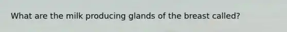 What are the milk producing glands of the breast called?