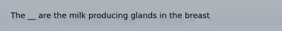 The __ are the milk producing glands in the breast