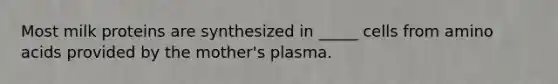 Most milk proteins are synthesized in _____ cells from amino acids provided by the mother's plasma.