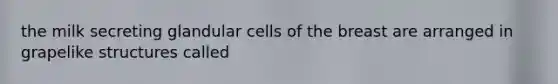 the milk secreting glandular cells of the breast are arranged in grapelike structures called