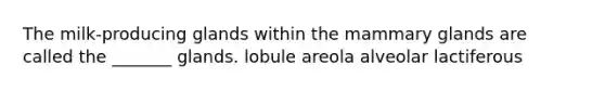 The milk-producing glands within the mammary glands are called the _______ glands. lobule areola alveolar lactiferous