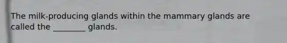 The milk-producing glands within the mammary glands are called the ________ glands.