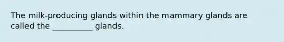 The milk-producing glands within the mammary glands are called the __________ glands.