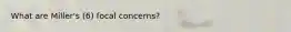 What are Miller's (6) focal concerns?