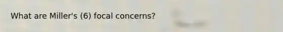 What are Miller's (6) focal concerns?