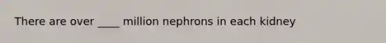 There are over ____ million nephrons in each kidney