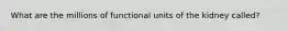 What are the millions of functional units of the kidney called?