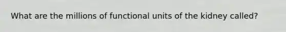 What are the millions of functional units of the kidney called?