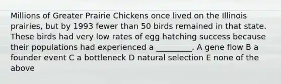 Millions of Greater Prairie Chickens once lived on the Illinois prairies, but by 1993 fewer than 50 birds remained in that state. These birds had very low rates of egg hatching success because their populations had experienced a _________. A gene flow B a founder event C a bottleneck D natural selection E none of the above