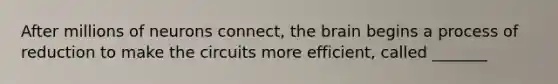 After millions of neurons connect, the brain begins a process of reduction to make the circuits more efficient, called _______