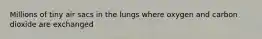 Millions of tiny air sacs in the lungs where oxygen and carbon dioxide are exchanged