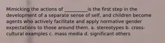 Mimicking the actions of __________is the first step in the development of a separate sense of self, and children become agents who actively facilitate and apply normative gender expectations to those around them. a. stereotypes b. cross-cultural examples c. mass media d. significant others